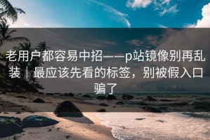 老用户都容易中招——p站镜像别再乱装｜最应该先看的标签，别被假入口骗了