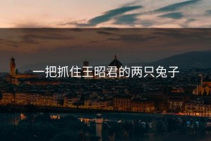 一把抓住王昭君的两只兔子