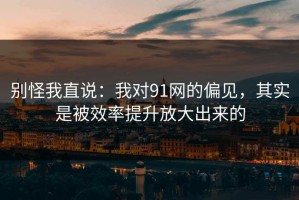别怪我直说：我对91网的偏见，其实是被效率提升放大出来的