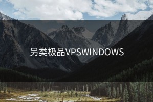 另类极品VPSWINDOWS