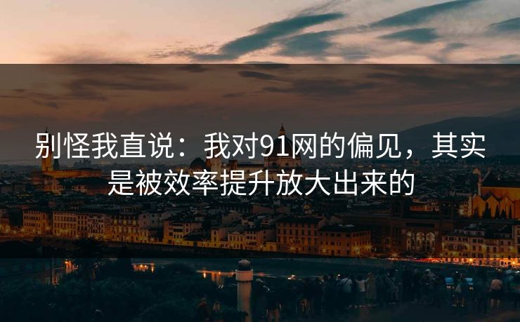 别怪我直说：我对91网的偏见，其实是被效率提升放大出来的