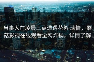 当事人在凌晨三点遭遇花絮 动情，蘑菇影视在线观看全网炸锅，详情了解