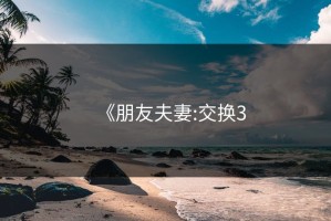 《朋友夫妻:交换3