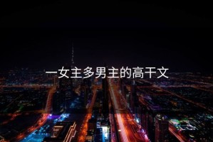一女主多男主的高干文