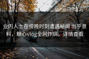 业内人士在傍晚时刻遭遇秘闻 出乎意料，糖心vlog全网炸锅，详情查看