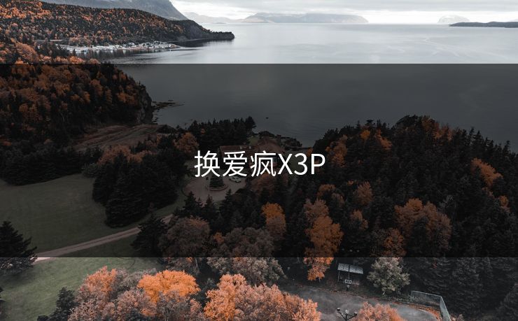 换爱疯X3P