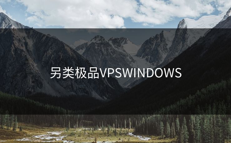 另类极品VPSWINDOWS