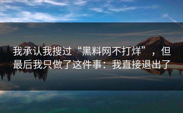 我承认我搜过“黑料网不打烊”，但最后我只做了这件事：我直接退出了